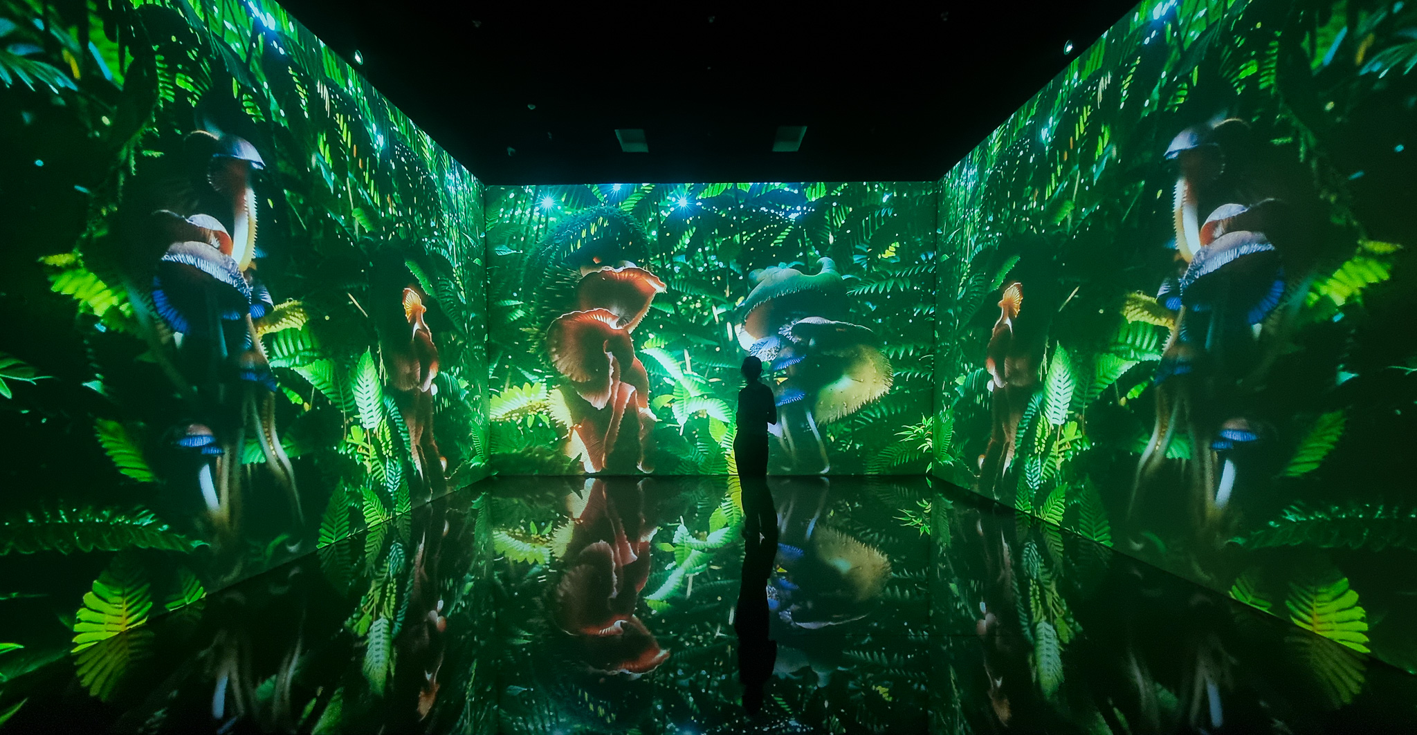 Taikang Art Museum project