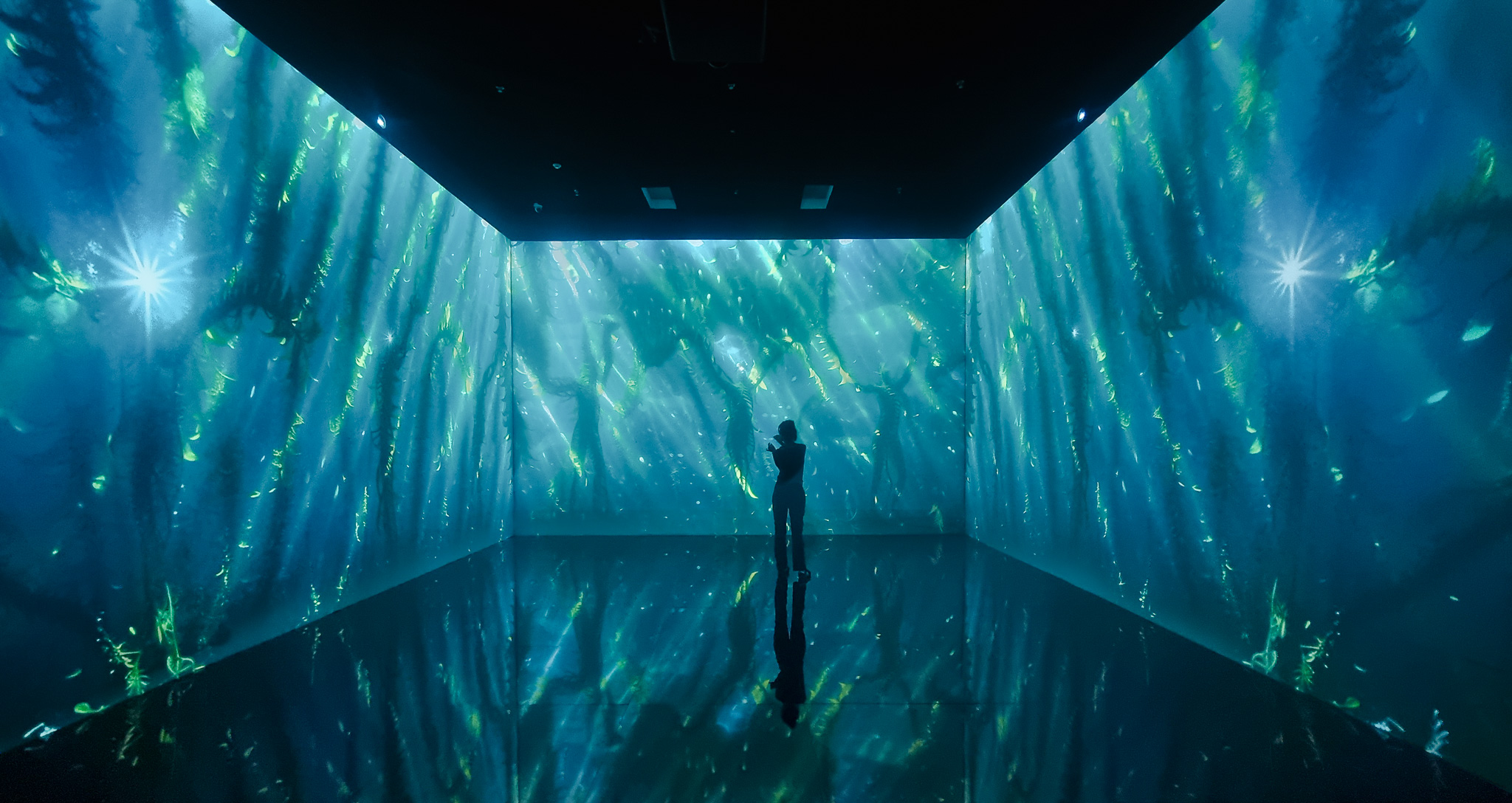 Superradiance project