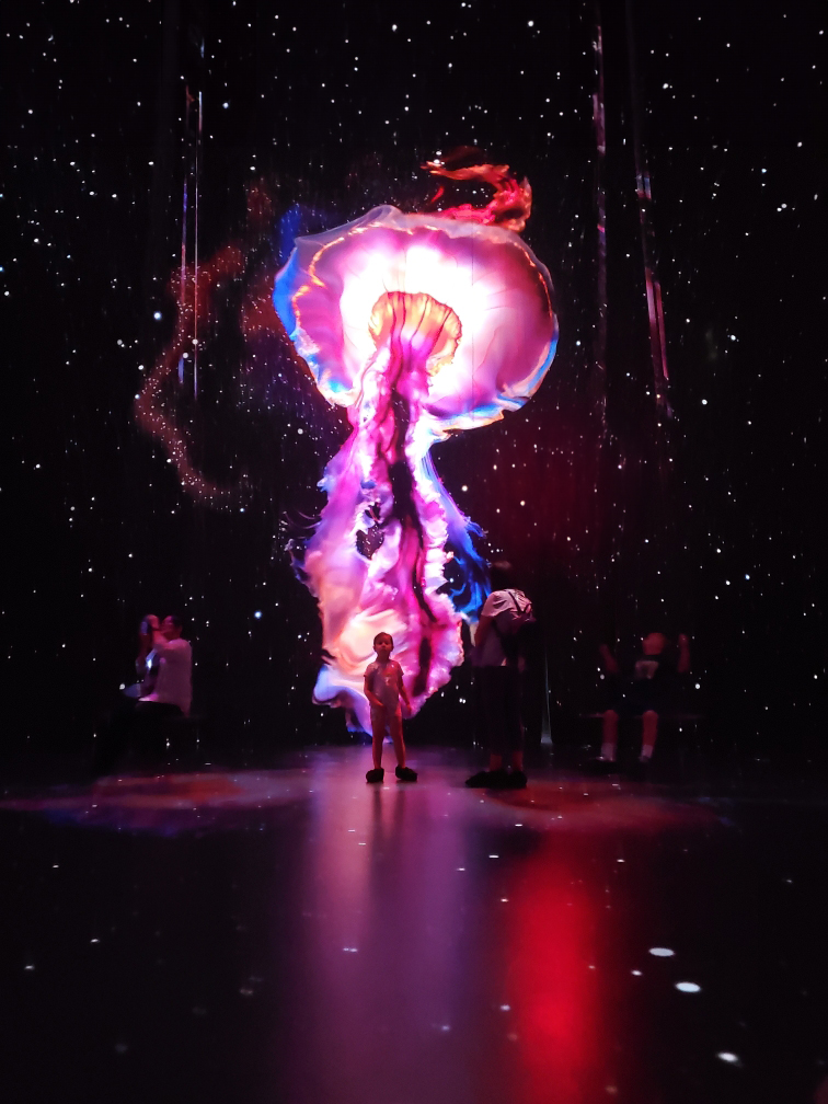 Embodied Simulation at Tribeca Film Festival project